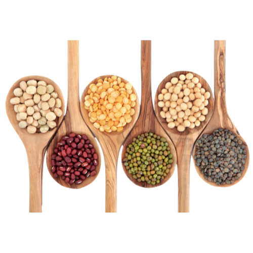 Pulses export image